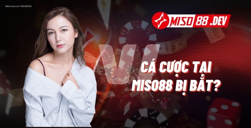 Cá Cược Tại Miso88 Bị Bắt?