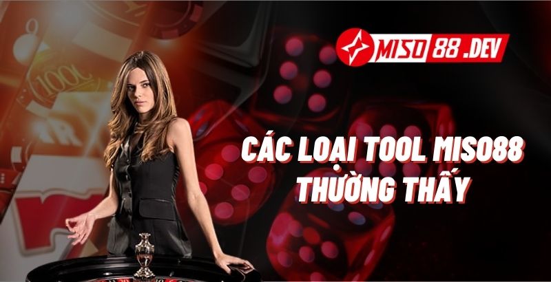 Các loại tool Miso88 thường thấy