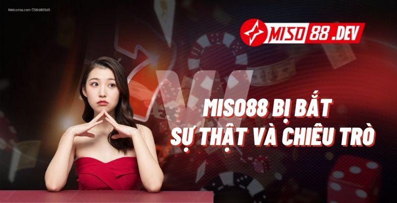 Miso88 Bị Bắt - Sự Thật Và Chiêu Trò