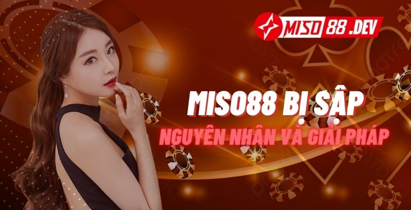 Miso88 Bị Sập