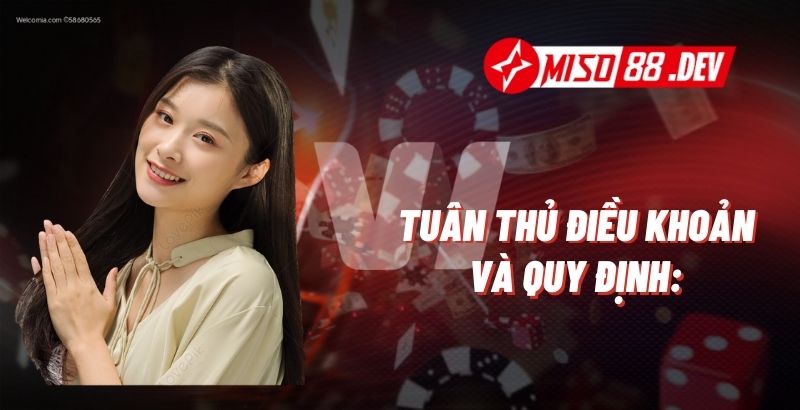 Tuân Thủ Điều Khoản và Quy Định