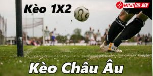 Cược 1x2 là gì mà trong cá độ bóng đá hình thức cược