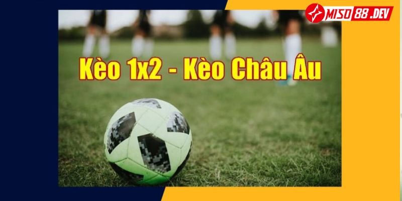 Giới thiệu về kèo 1x2 cá độ