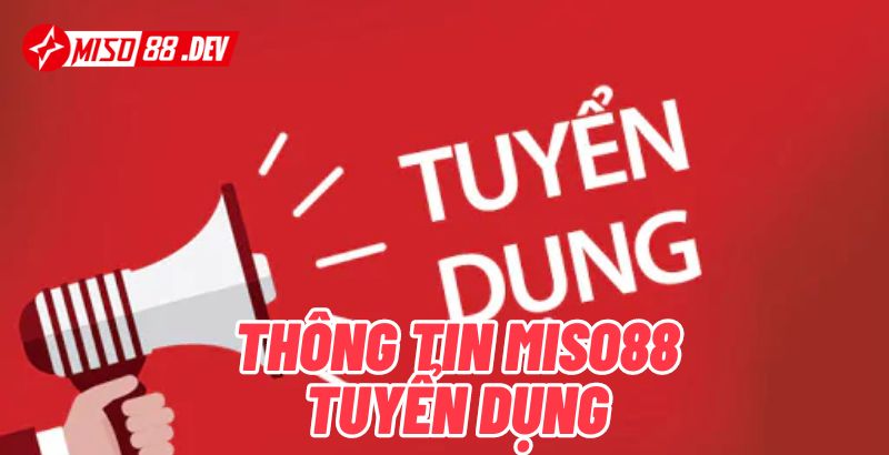 Thông tin Miso88 Tuyển Dụng