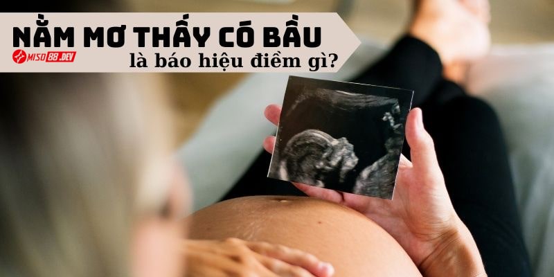 Nằm mơ có bầu là điềm báo may hay xui?